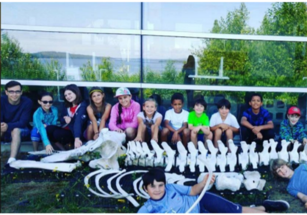 Killer Whale Skeleton and Students