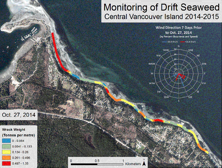 Monitoring seaweed (volume): Deep Bay 