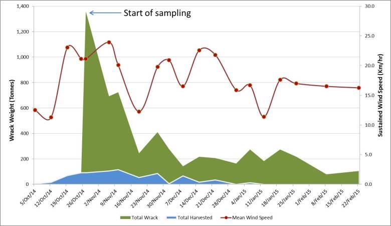 Monitoring seaweed: Deep Bay