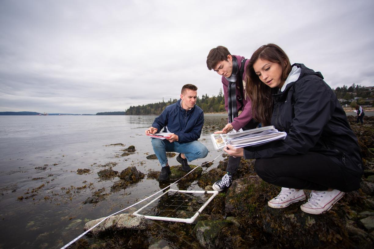 Students with quadrats on beach