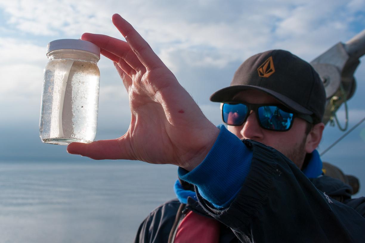 researcer looking at a jar of water with tiny zooplankton in it